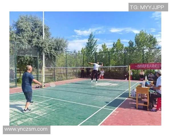 陈丽独家分享羽毛球技巧与心得体会助你提升球技的秘诀与经验总结