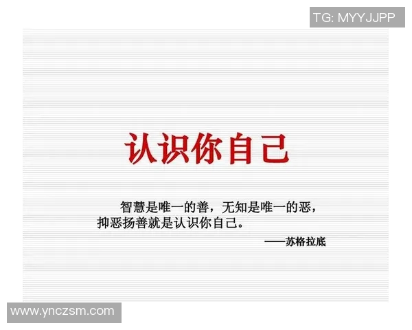 重庆排球队意识探讨：提升团队协作与战术执行力的关键因素分析